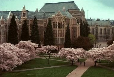 华盛顿州立大学    